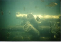 Fish cribs enhance the quality of fish habitat - Click to enlarge. Fish cribs enhance the quality of fish habitat - Click to enlarge.