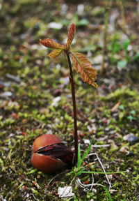 Spring is upon us - New life begins again - Click to enlarge.